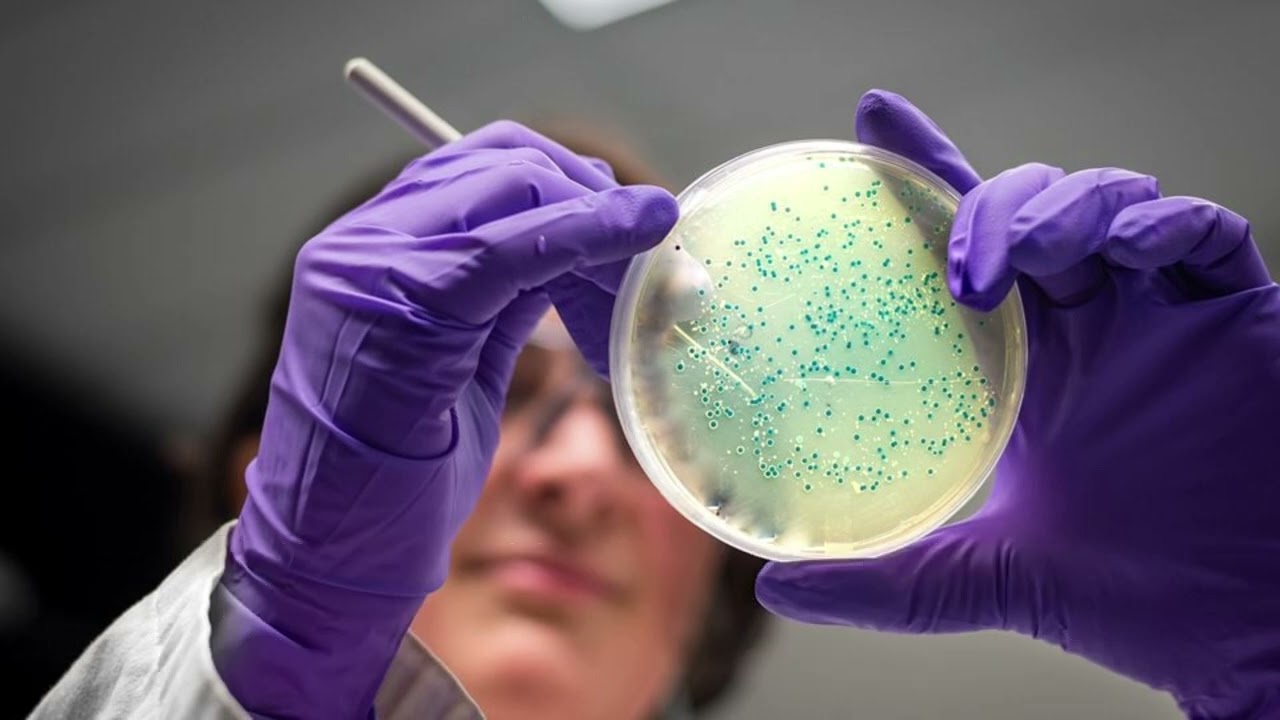 #BIOTECHNOLOGY IN AGRICULTURE #FOR EDUCATIONAL PURPOSE ONLY