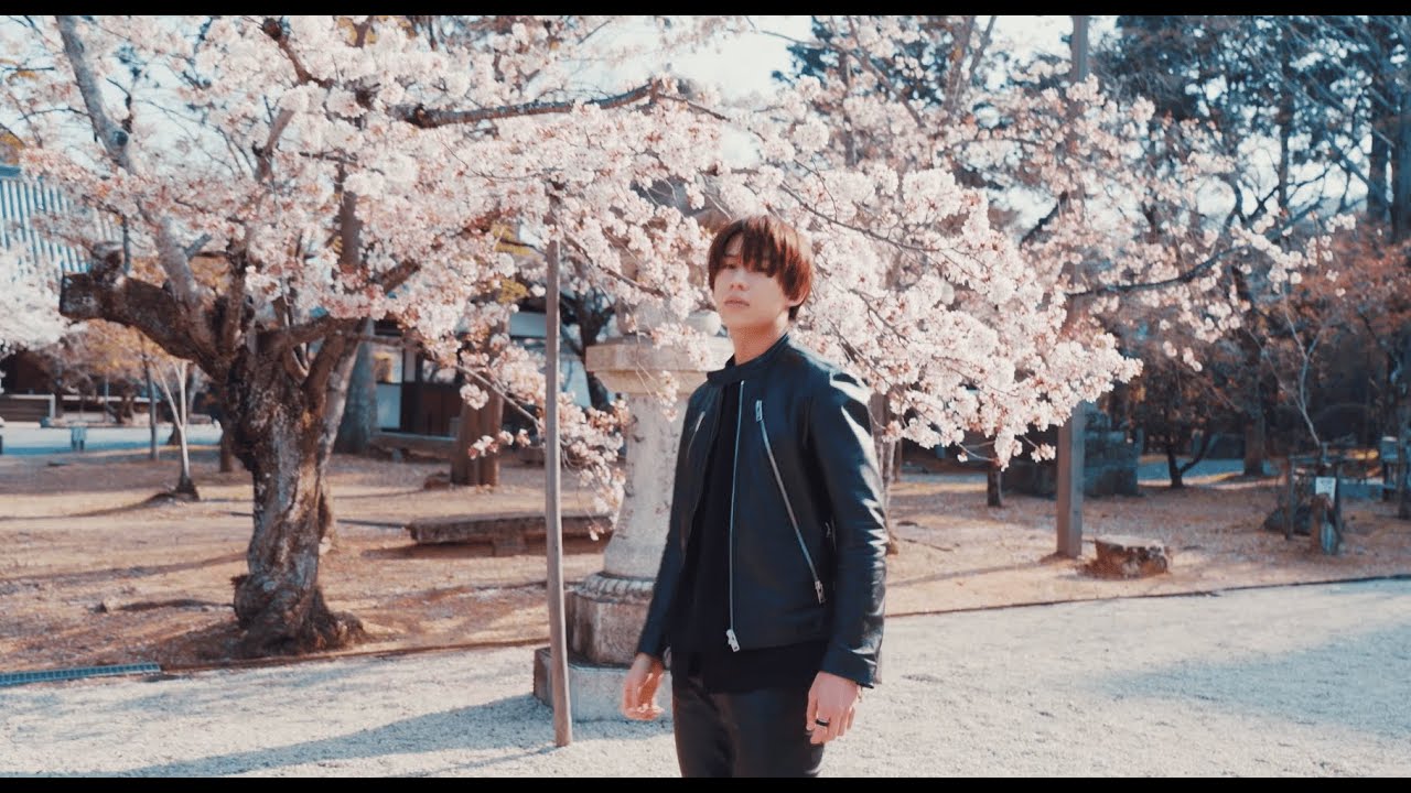Qyoto『花時雨』＜shooting at 真如堂 / 大覚寺2022 spring＞
