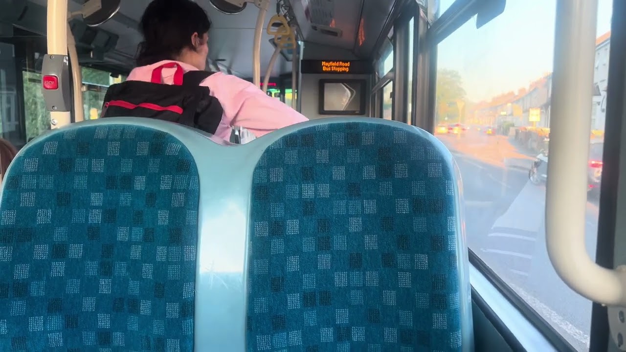 (Topodyn) Journey on Route 229 Arriva London LK65ENO T302 11/7/25