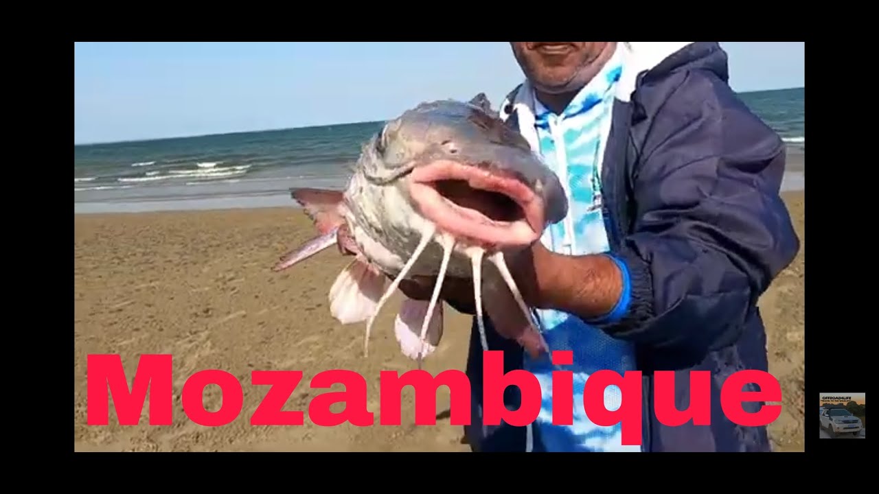 OFFROAD4LIFE, Fishing Mozambique, September, 2022