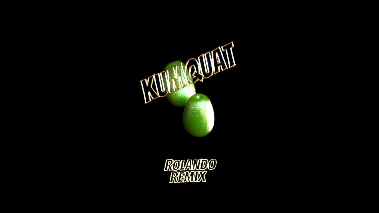 JakoJako - Kumquat (Rolando Remix) [Official Audio}
