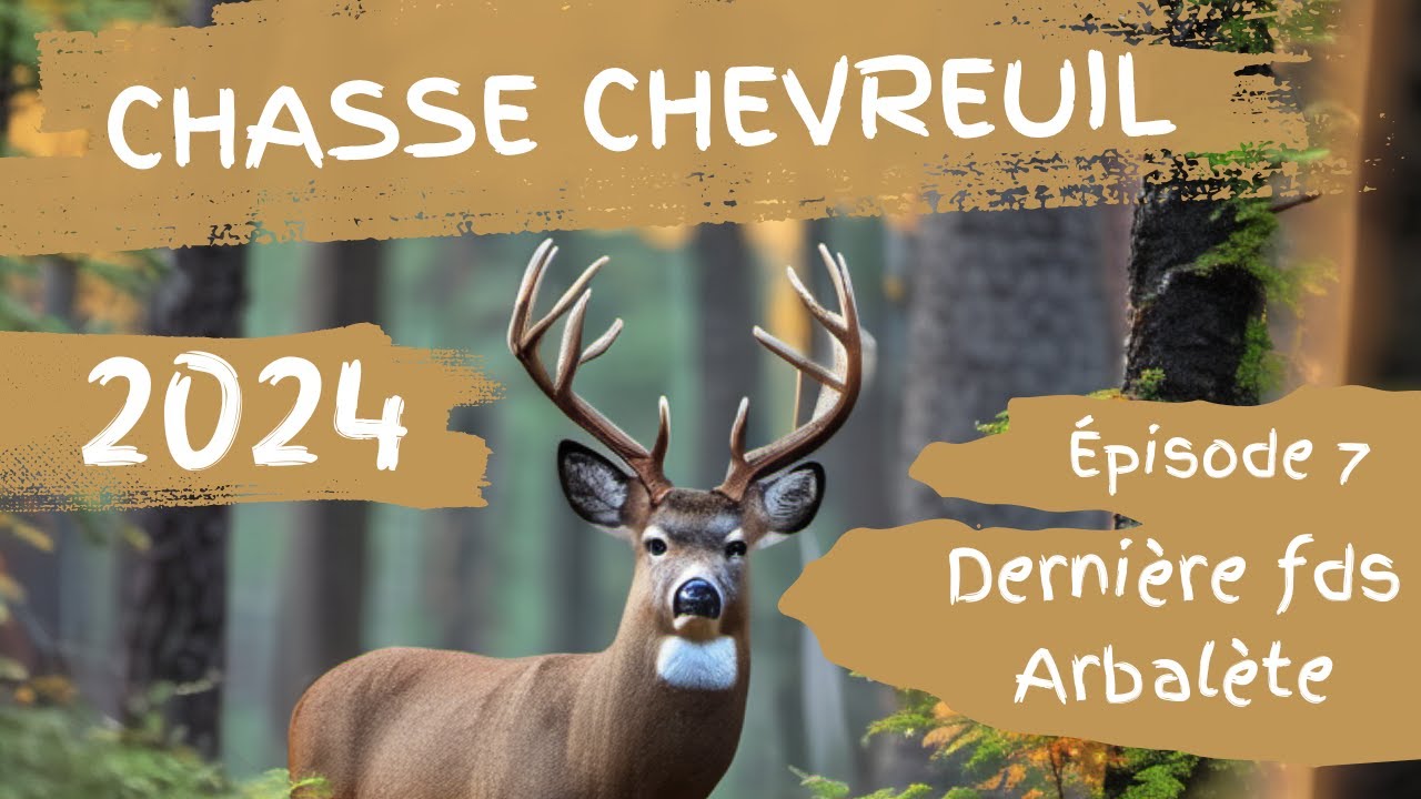 Chasse chevreuil 2024 Dernière FDS Arbalète (Ep.7)