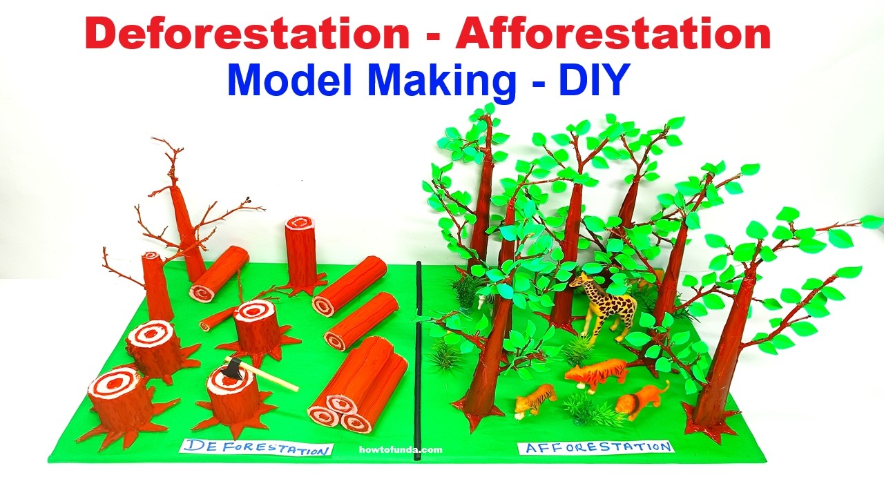 Afforestation vs Deforestation Working Model  Best Science Project for Exhibition 2026 - howtofunda