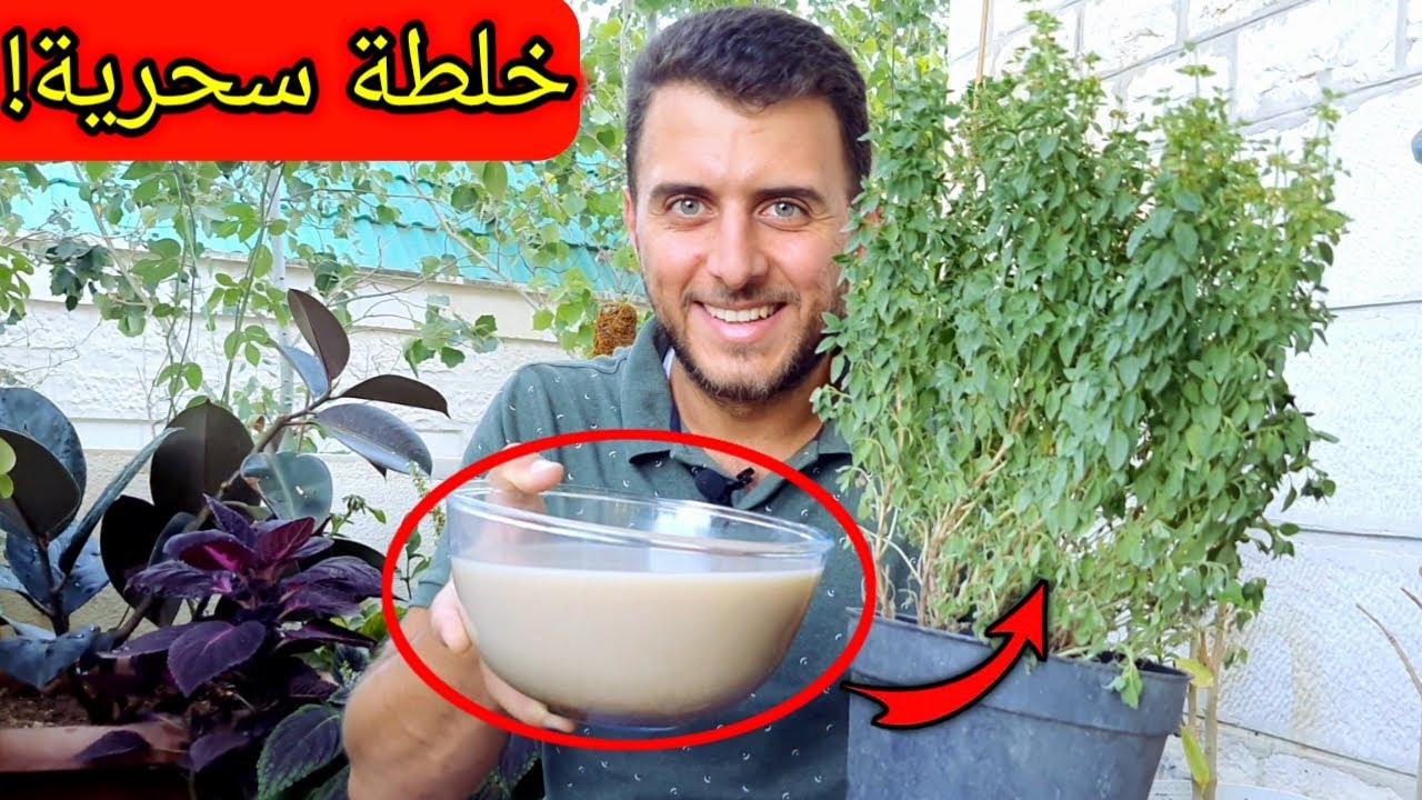 خلطة سمادية سرّية ! لاحظ ماذا سيحصل بعد استخدام هذا السماد الطبيعي على نباتاتك !