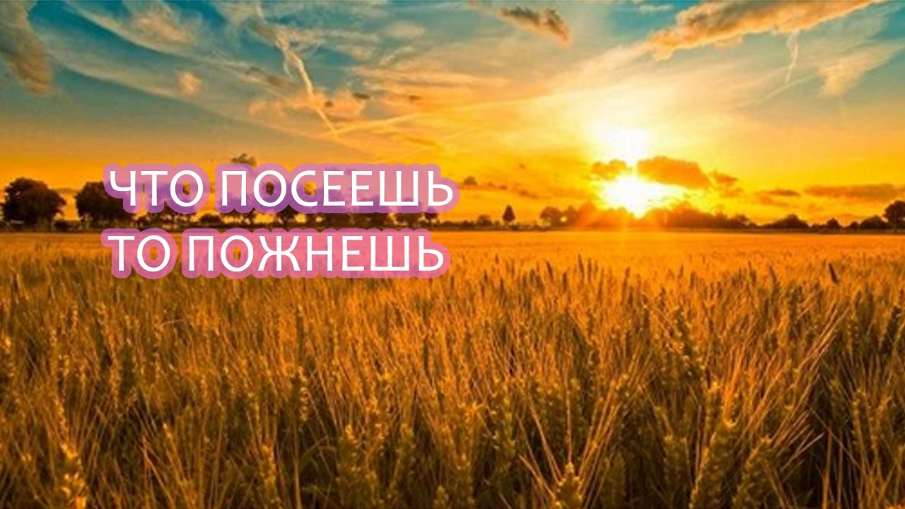 мы получаем ровно ТО, что сделали в своей жизни. не оскудеет рука дающего