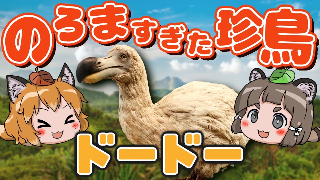 【珍鳥】堂々と生きすぎた鳥！超のろまなドードー【へんないきもの#99】