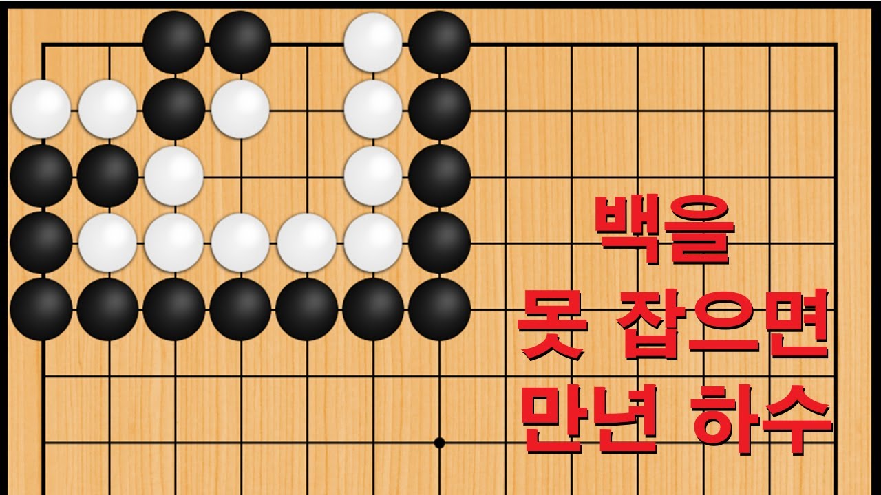 바둑 묘수 사활 - 백을 못 잡으면 만년 하수 입니다