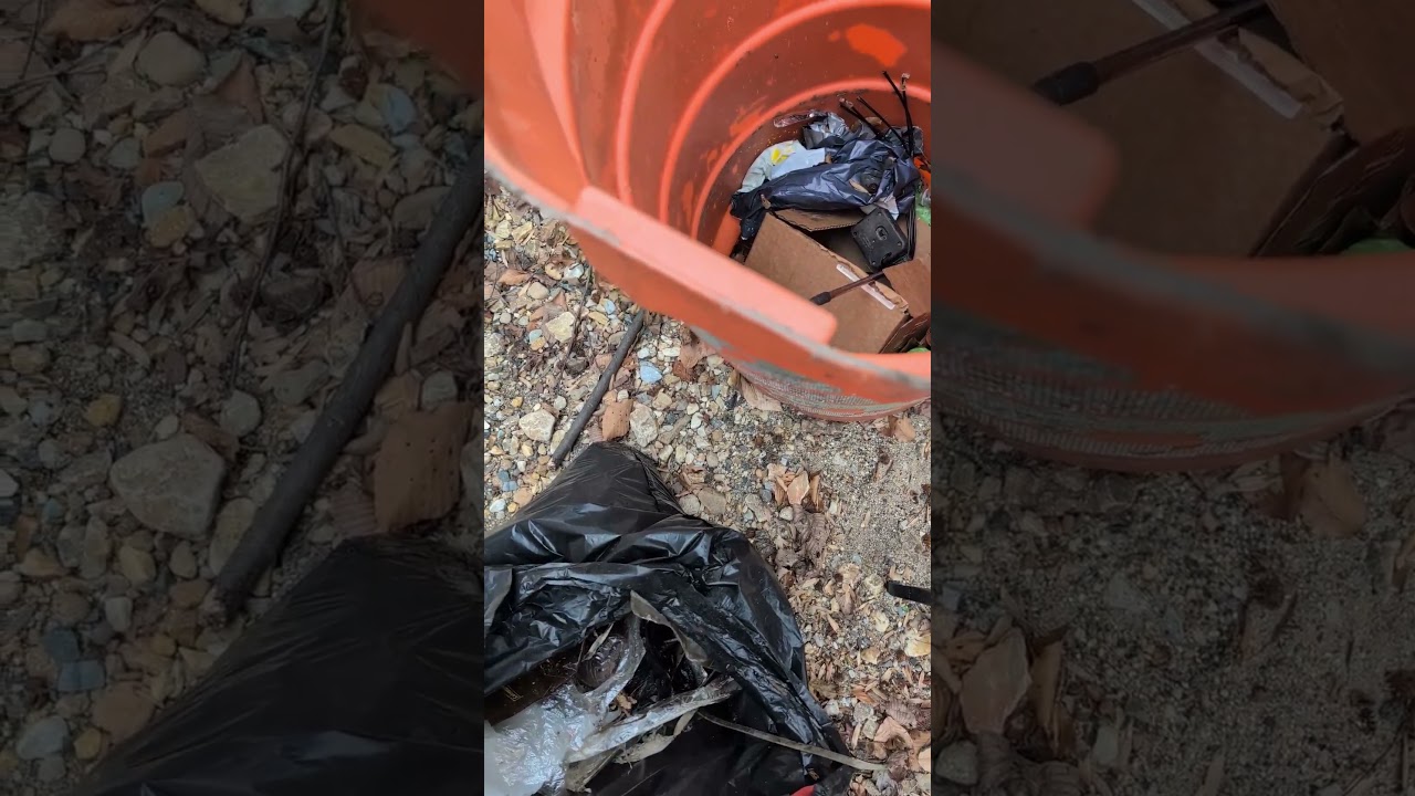 Someone Used a Traffic Cone as a Trash Can 🚧