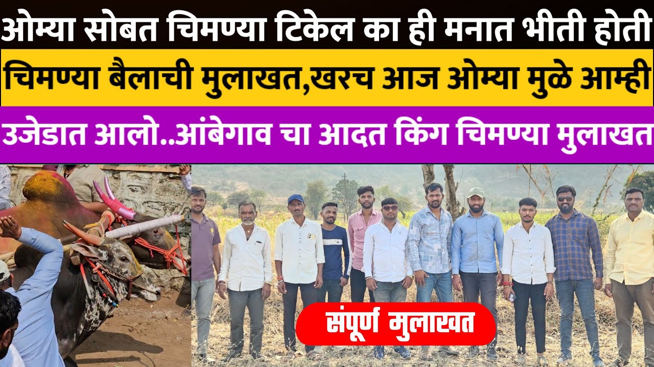 आज ओम्या सोबत पळालेला आंबेगाव चा आदत किंग चिमण्या बैलाची मुलाखत ! bailgada sharyat live