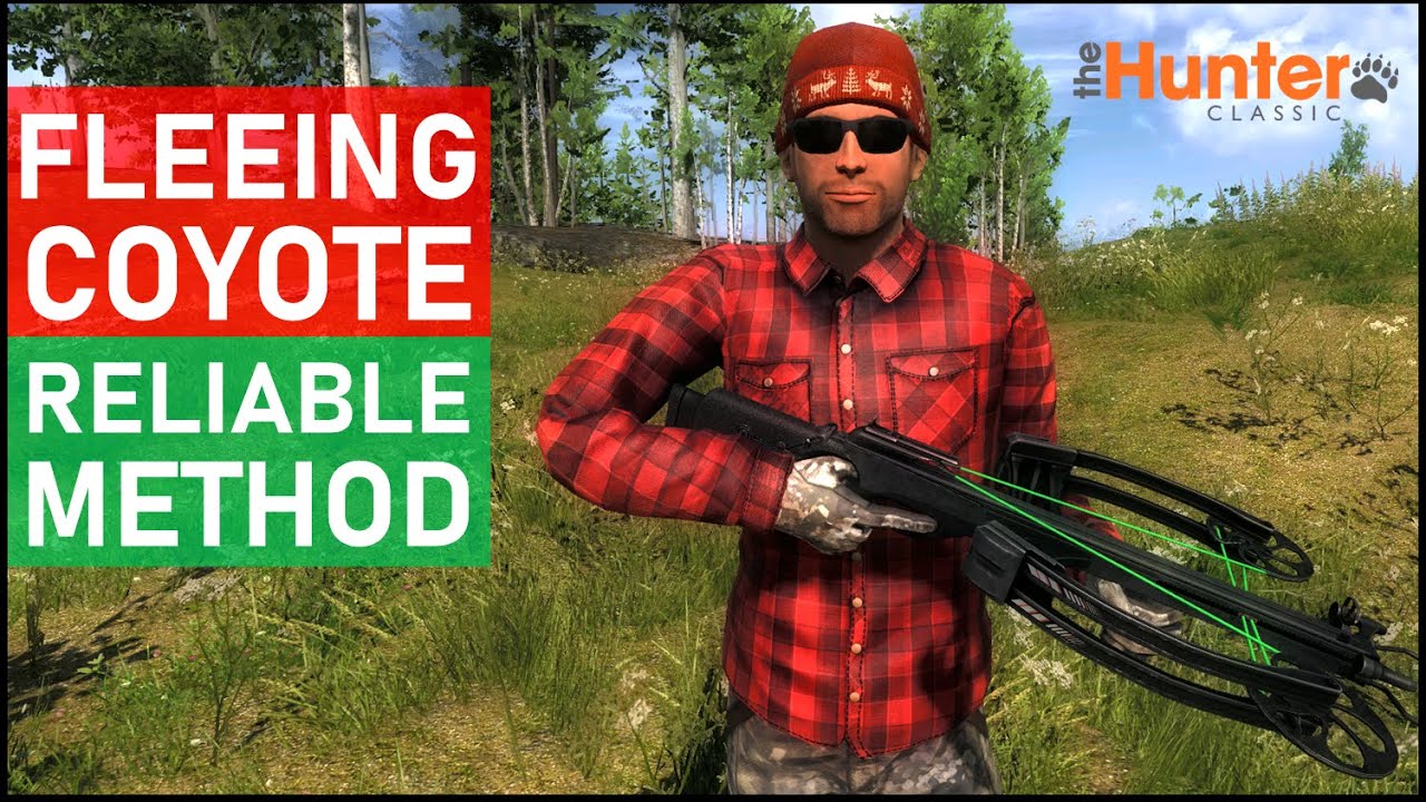 Fleeing Coyote shot with Crossbow - theHunter Classic
