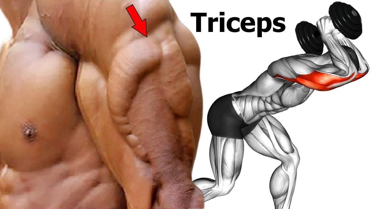 DICAS DE TREINO - Como construir tríceps rápido