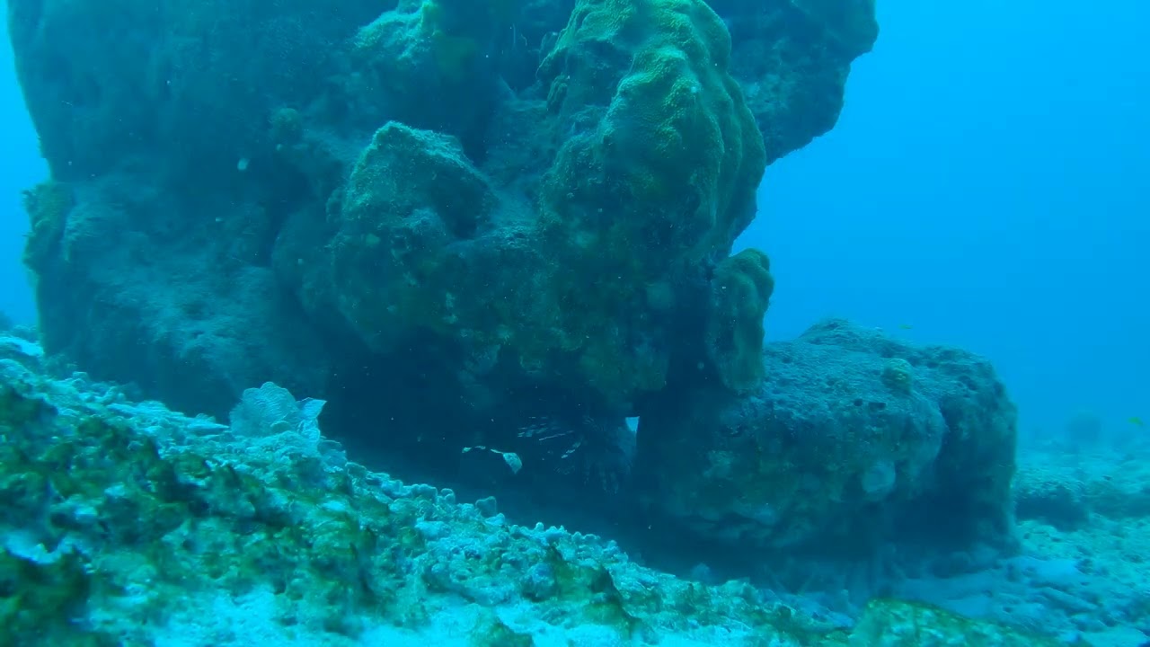 Piscadera,  Pirate Bay Curaçao, 9 september '23