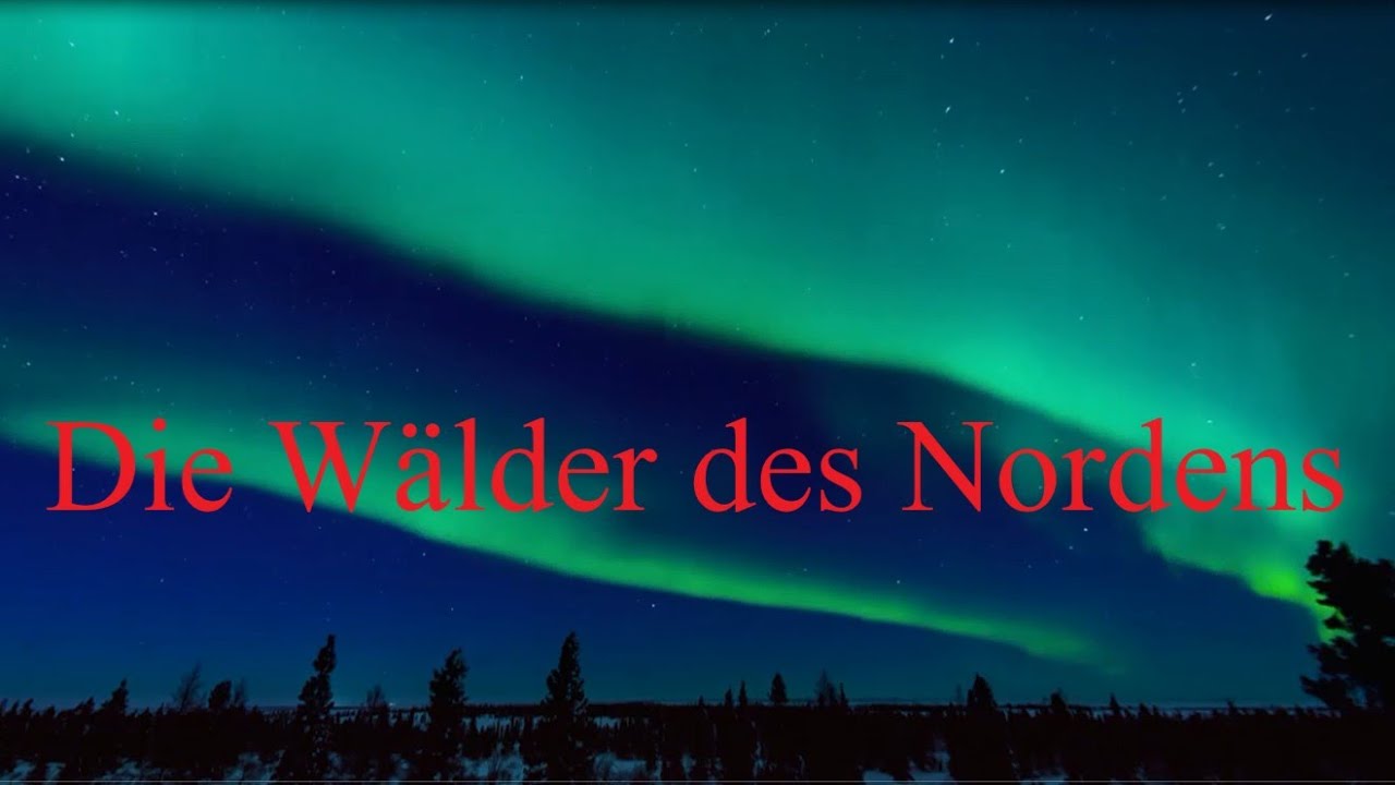Die W&auml;lder des Nordens - Doku