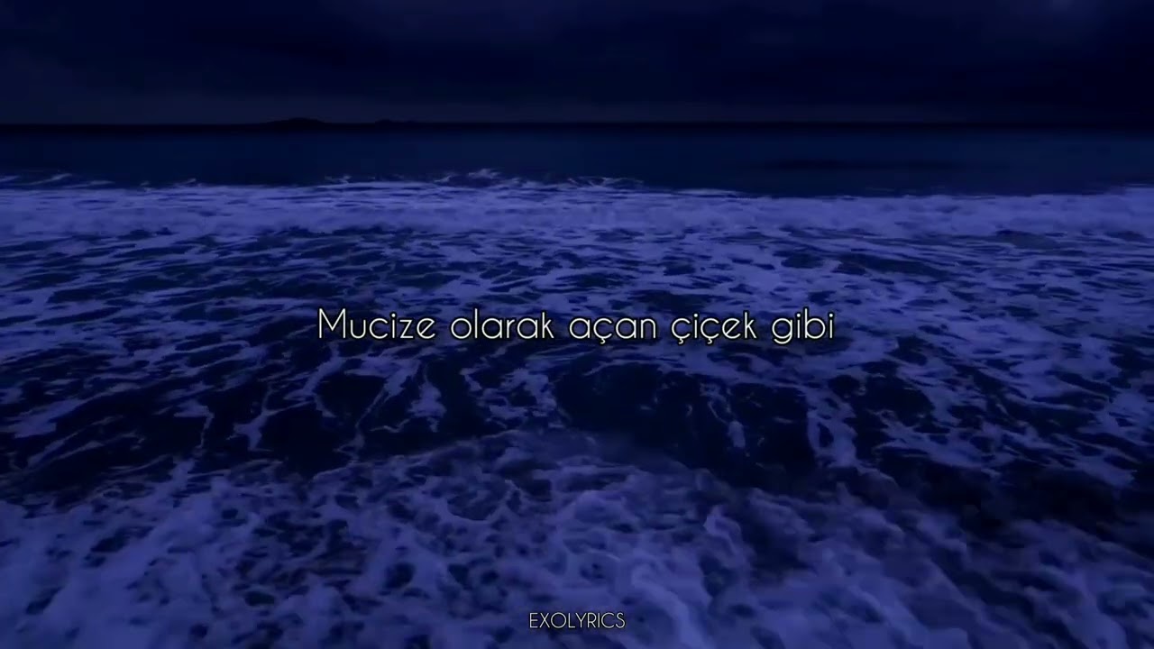 EXO - Runaway    [Türkçe çeviri]