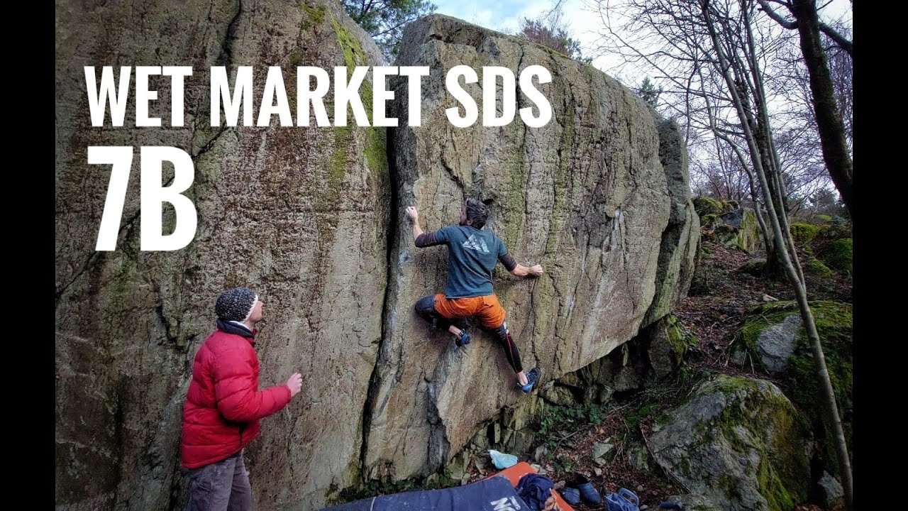 Wet Market SDS 7B
