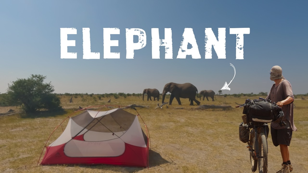 CAMPING with ELEPHANTS on a Bikepacking Journey Across Botswana 🇧🇼 | S1, EP6