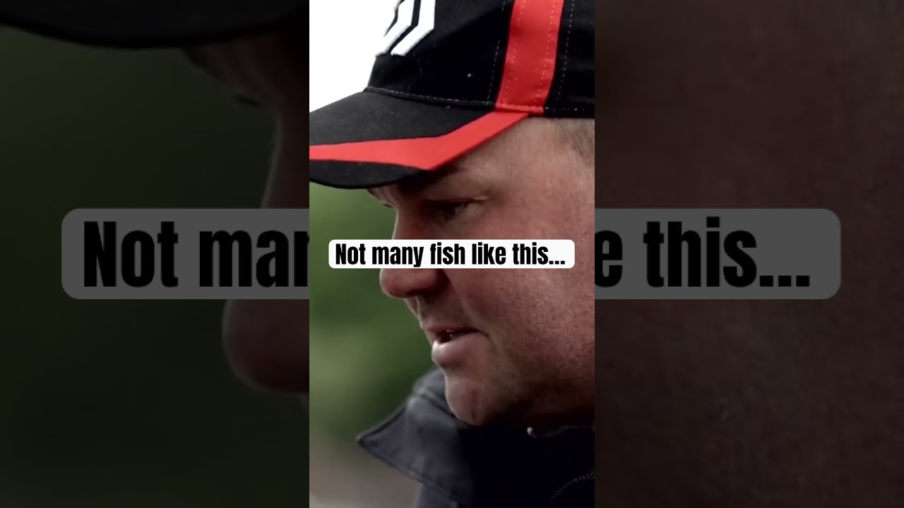 Studying the specimen carpers pays off!