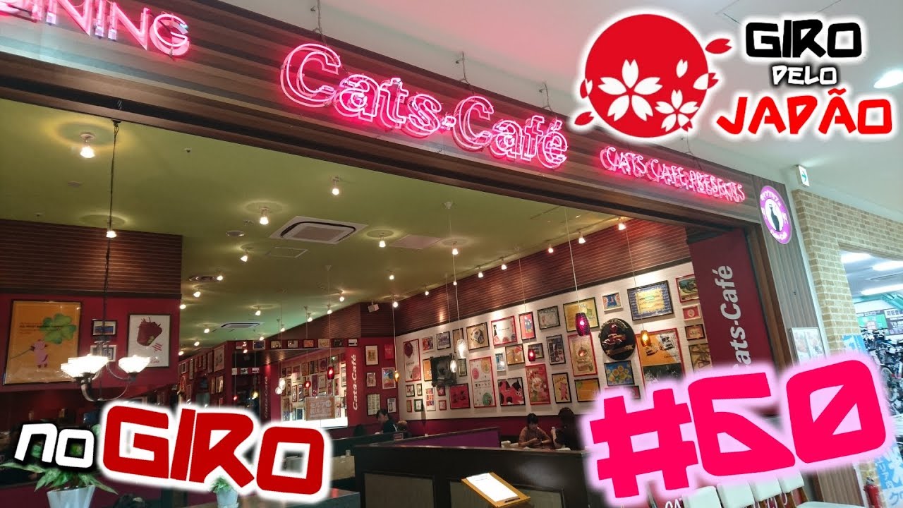 CONHEÇA O CATS CAFÉ EM OKAZAKI /WING TOWN
