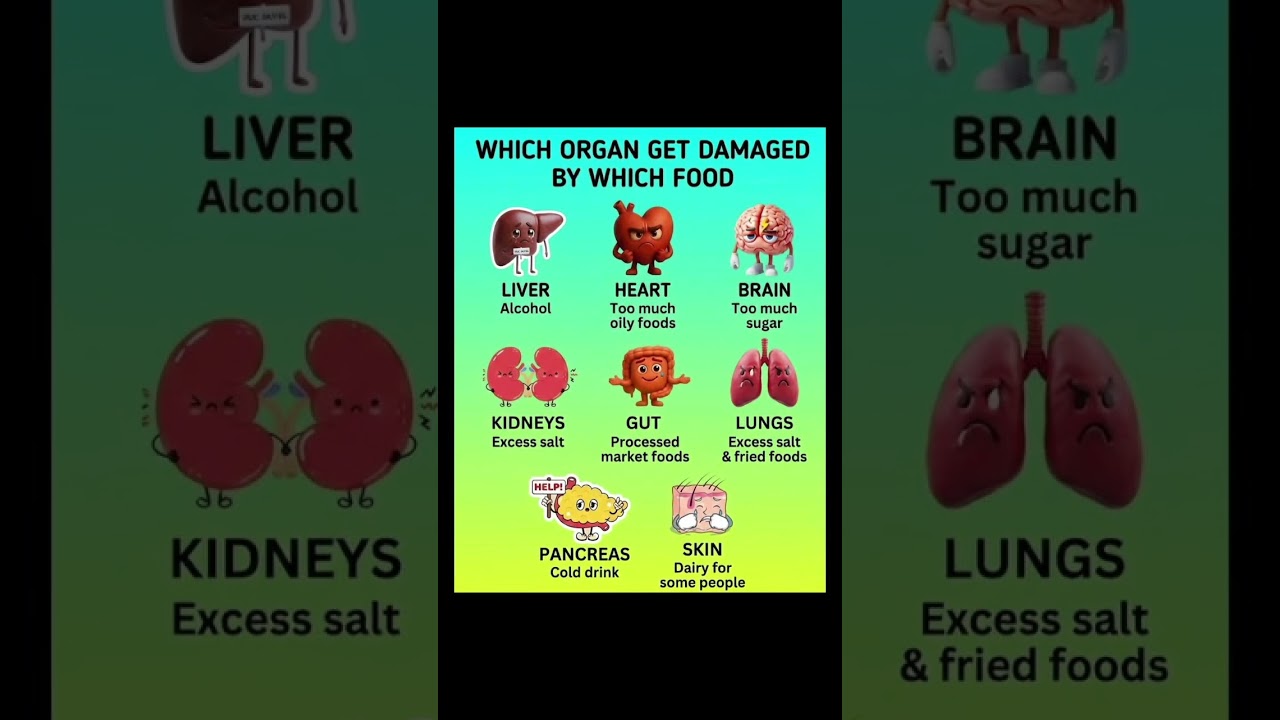 Which organ get damaged by which food 