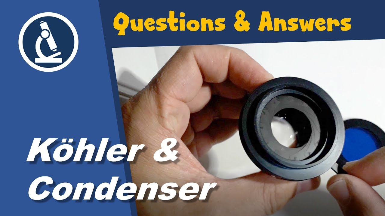 🔬 Effect of Condenser and Koehler diaphragms