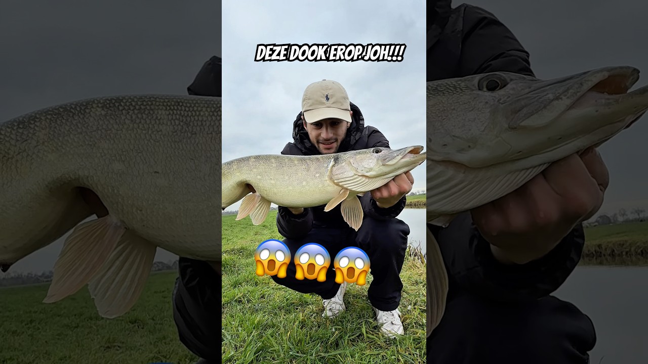 DIT AASJE VANGT ALTIJD VIS!!!
