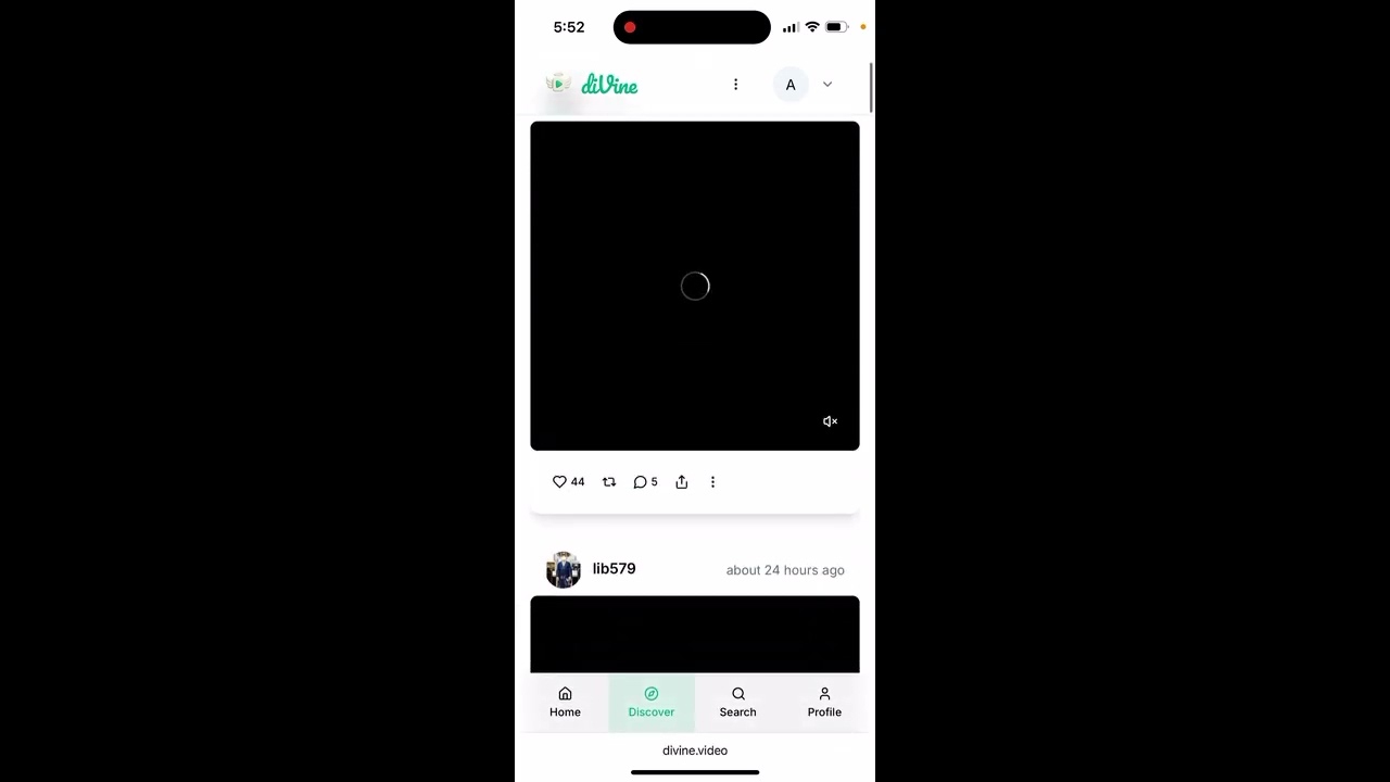 NEW VINE APP