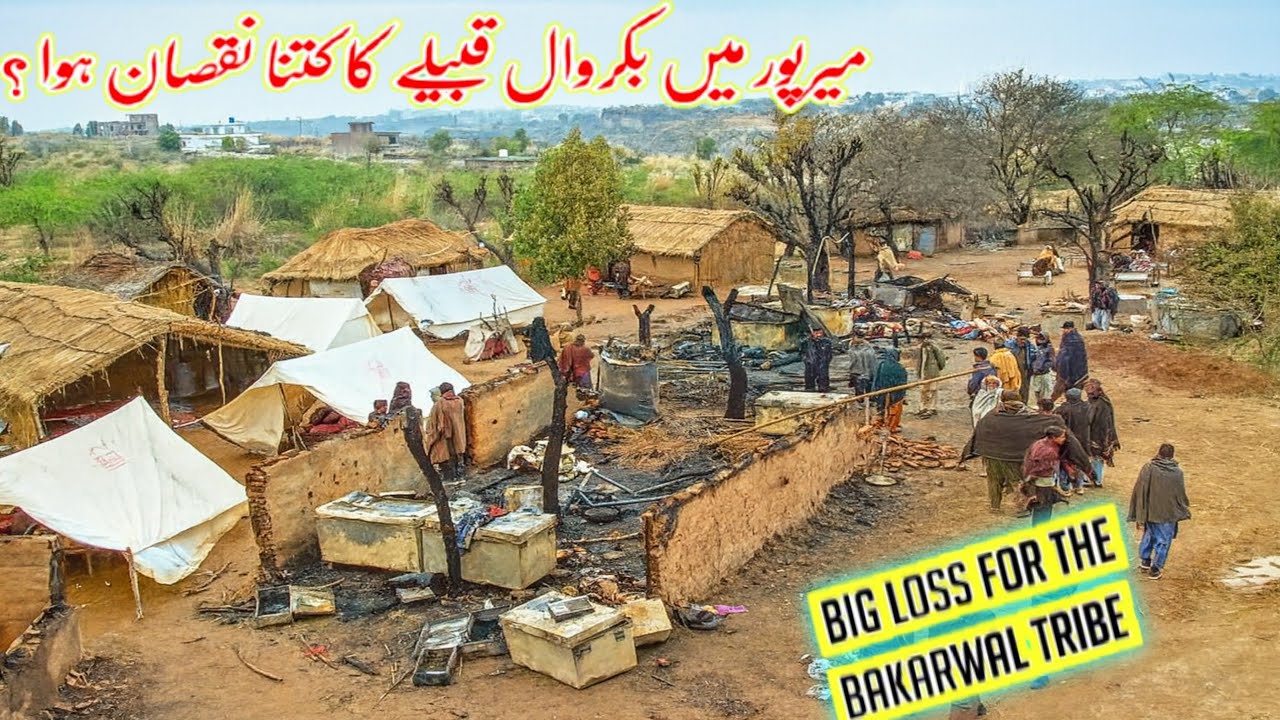 The Houses Of The Nomads Caught Fire/میرپور میں بکروال قبیلے کا کتنا نقصان ہوا ؟/Mirpur Azad Kashmir
