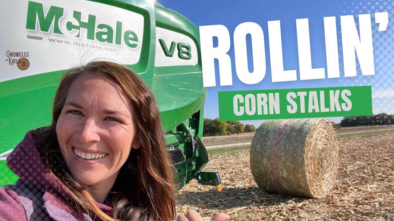 Rolling Corn Stalk Bales with a McHale Baler at Spencer Creek Farms #harvest #farmlife @McHaleOfficial