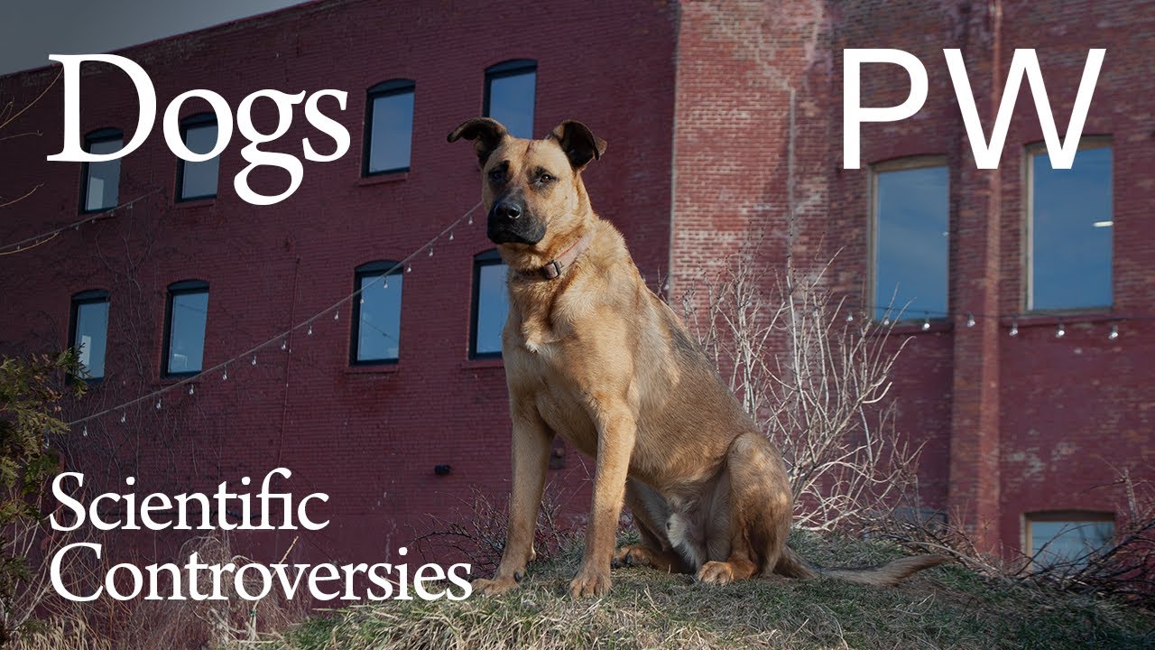 The Inner Life of Dogs | Scientific Controversies