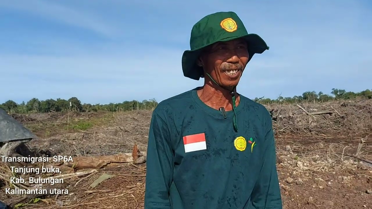 Bersama pak mangir Pembukaan lahan usaha tani 2, transmigrasi UPT 6 ,tj buka Kalimantan 