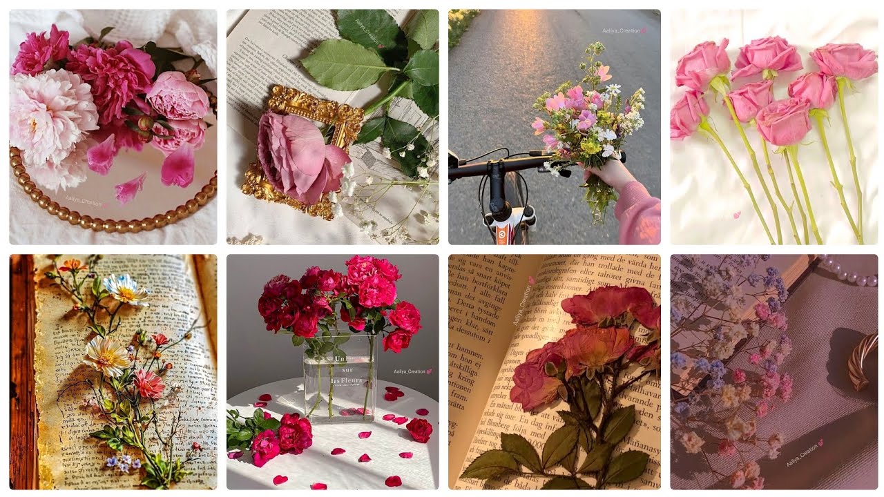 Beautiful Flowers DPZ 🌸 | Soft Aesthetic Floral DPZ 🤍 | Trending DP Collection ✨