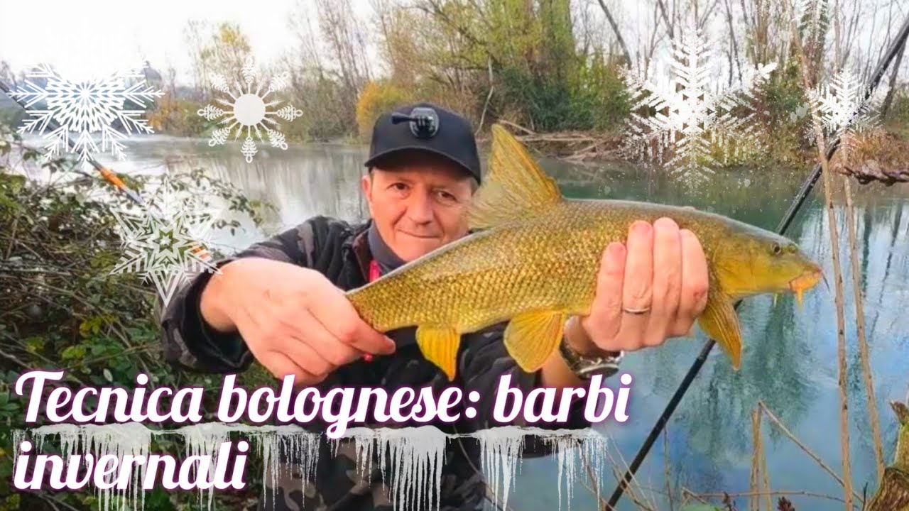 Barbi invernali a bolognese