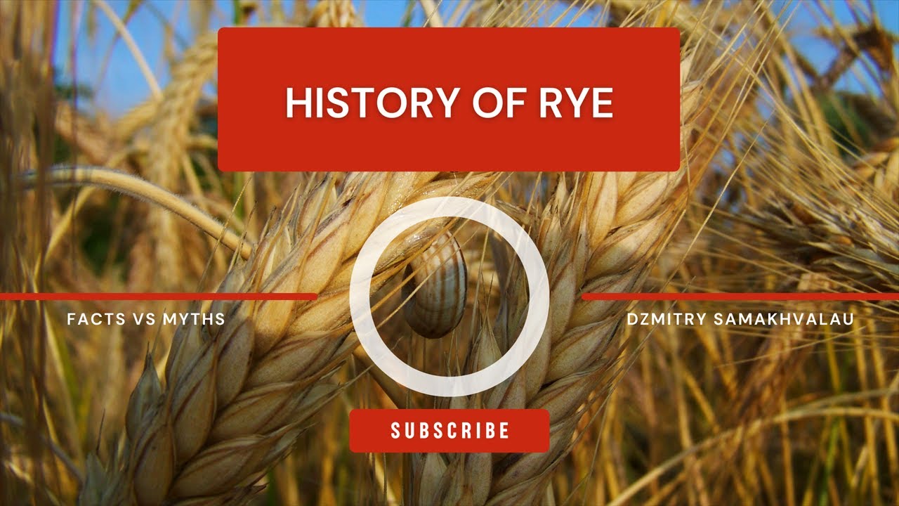 Unveiling the Secret Grain: Rye's Rise from Ancient Crop to Modern Feast