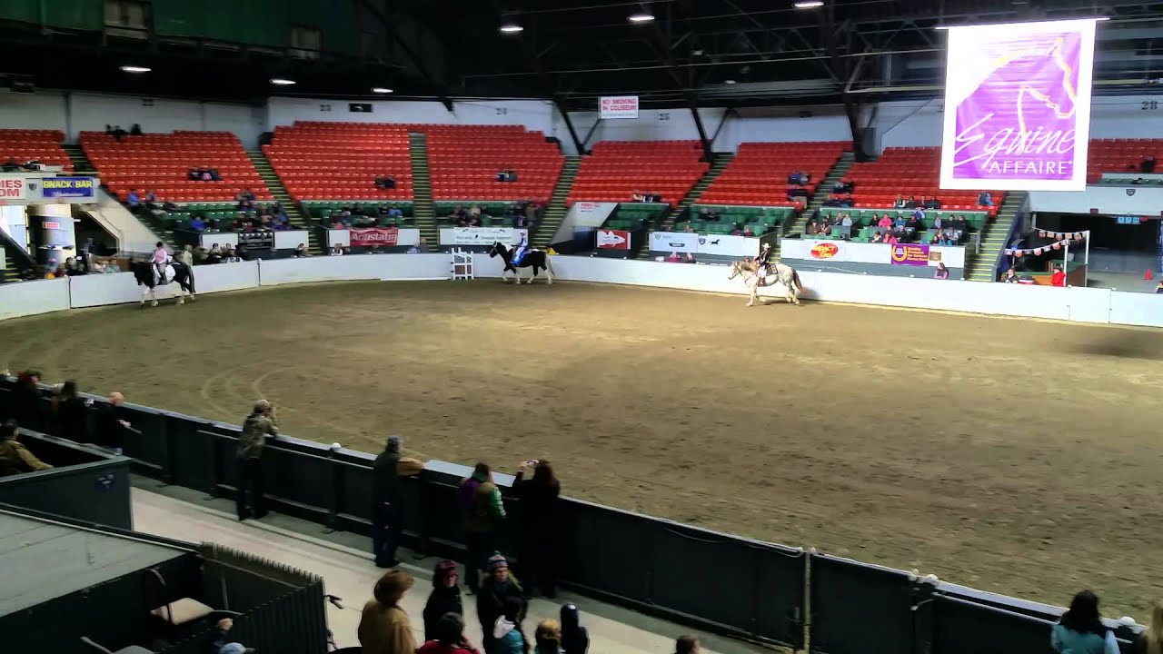 Spotted Draft Horse Society Equine Affaire 2014