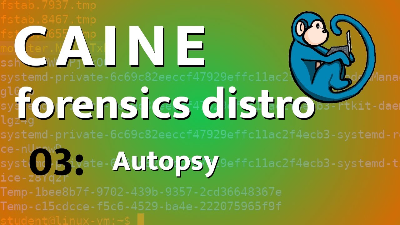 CAINE - 03 - Учебник по основам вскрытия