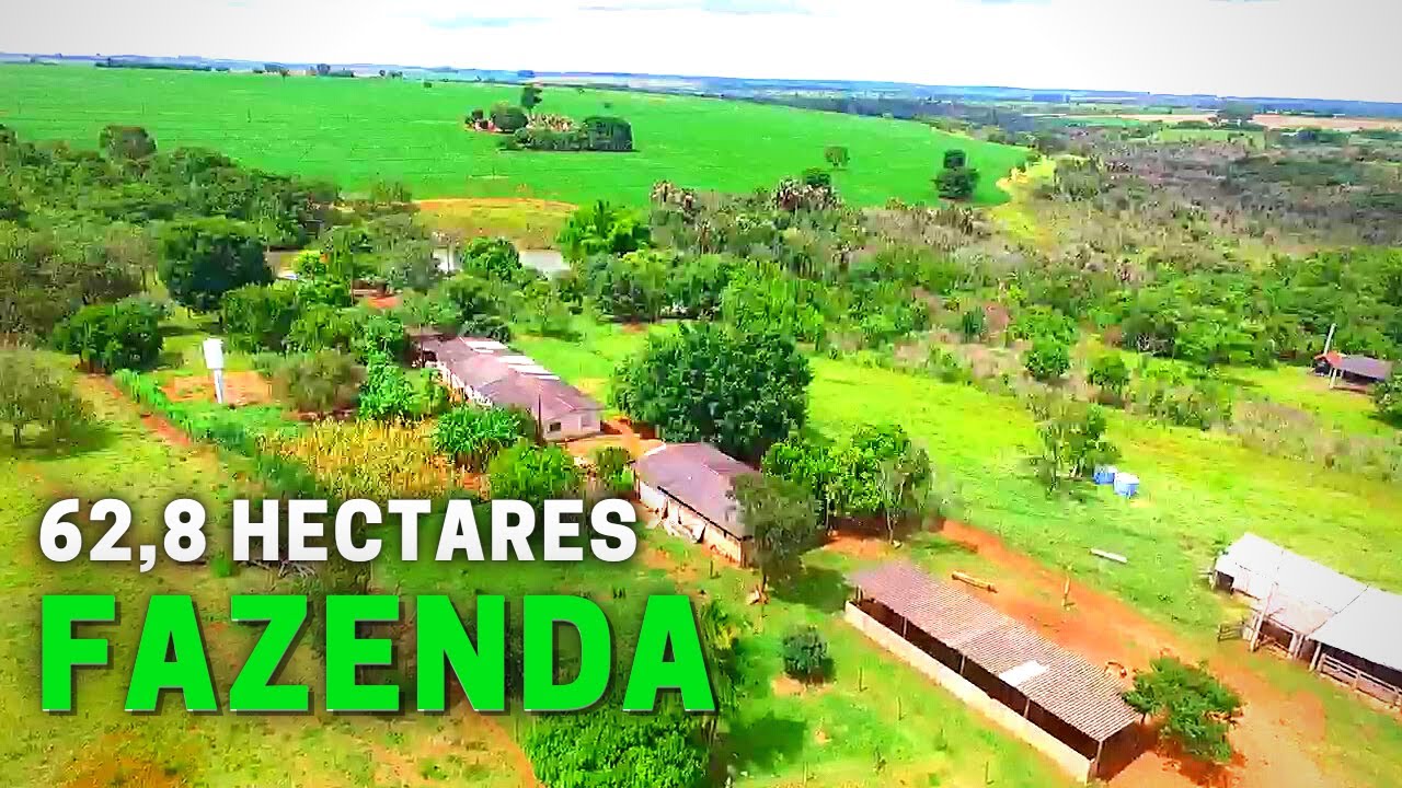 FAZENDA 62,8 HECTARES + ALAMBIQUE + 4 TANQUES DE PEIXES + CANAVIAL + PECUÁRIA