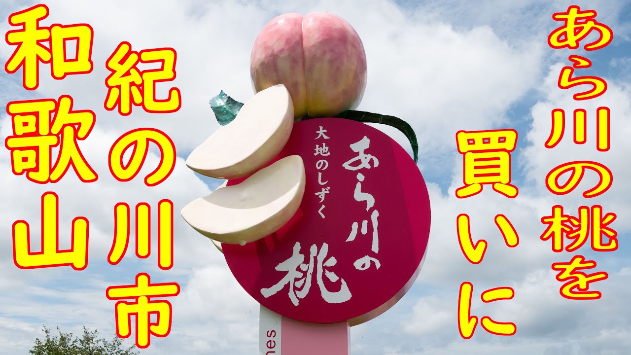 和歌山 紀の川市 あら川の桃を買いに 「八旗農園」「サンワ ピーチ サービス」2020.7.28