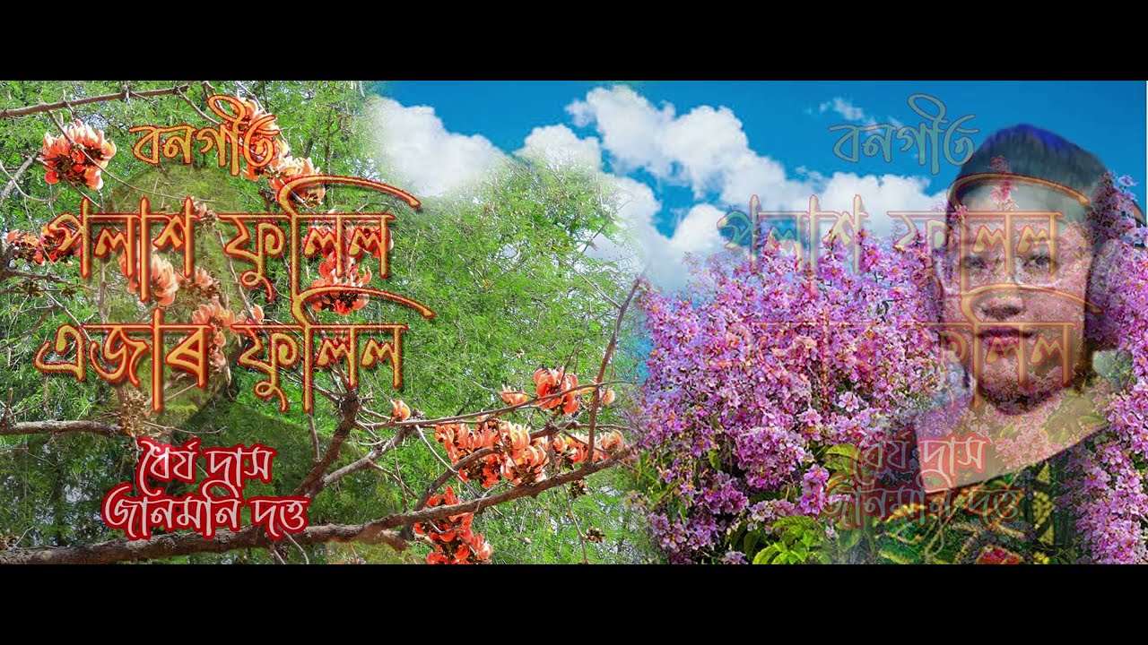 Polakh Fulul | Assamese Folk Song |  Original | Bongeet | Dhayya Das | Janmoni Dutta | Shiva Audio