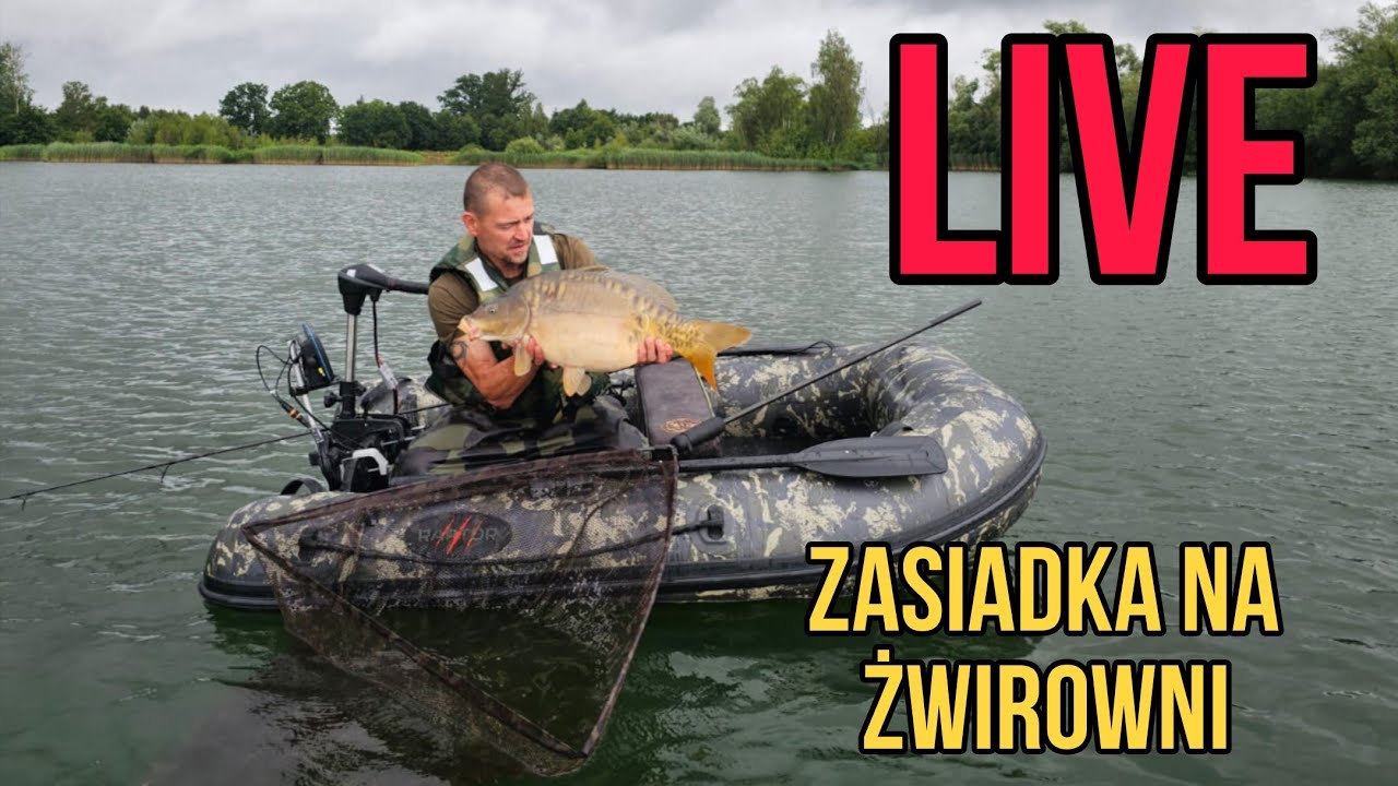 LIVE prosto z zasiadki / hol amura