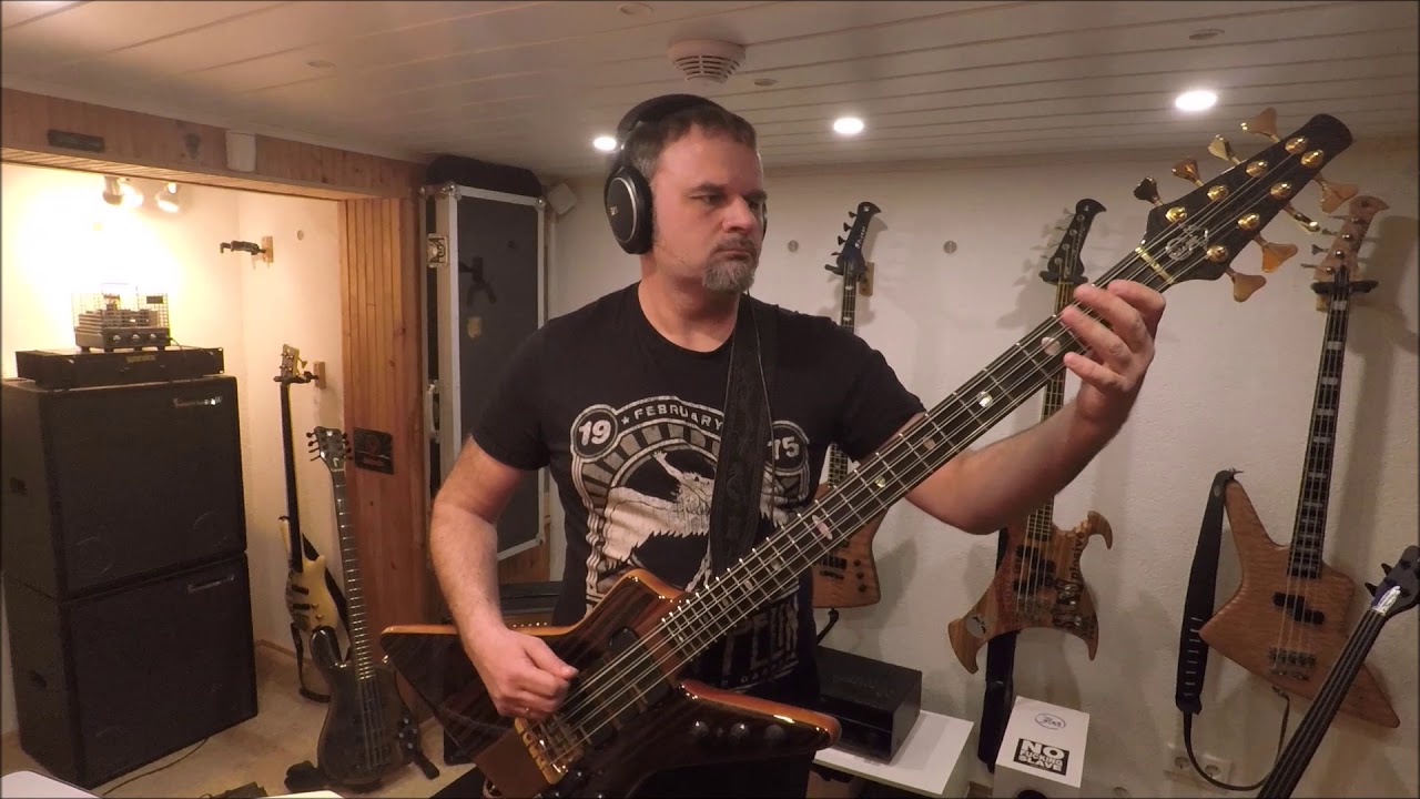 8 string bass guitar sounds (Alembic Explorer / Exploiter)