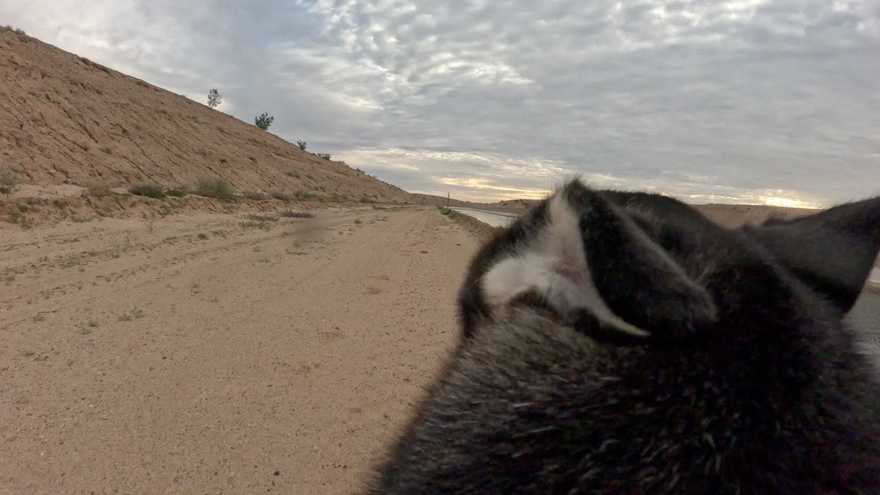 Luna Cam: Run like the wind |  All American Canal