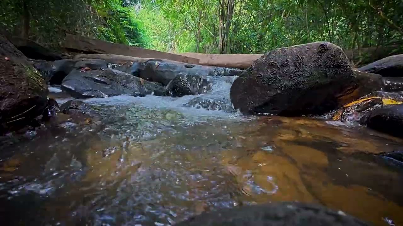Relaxing Piano Music with Gentle Stream Sounds 🌿 | Deep Sleep & Stress Relief
