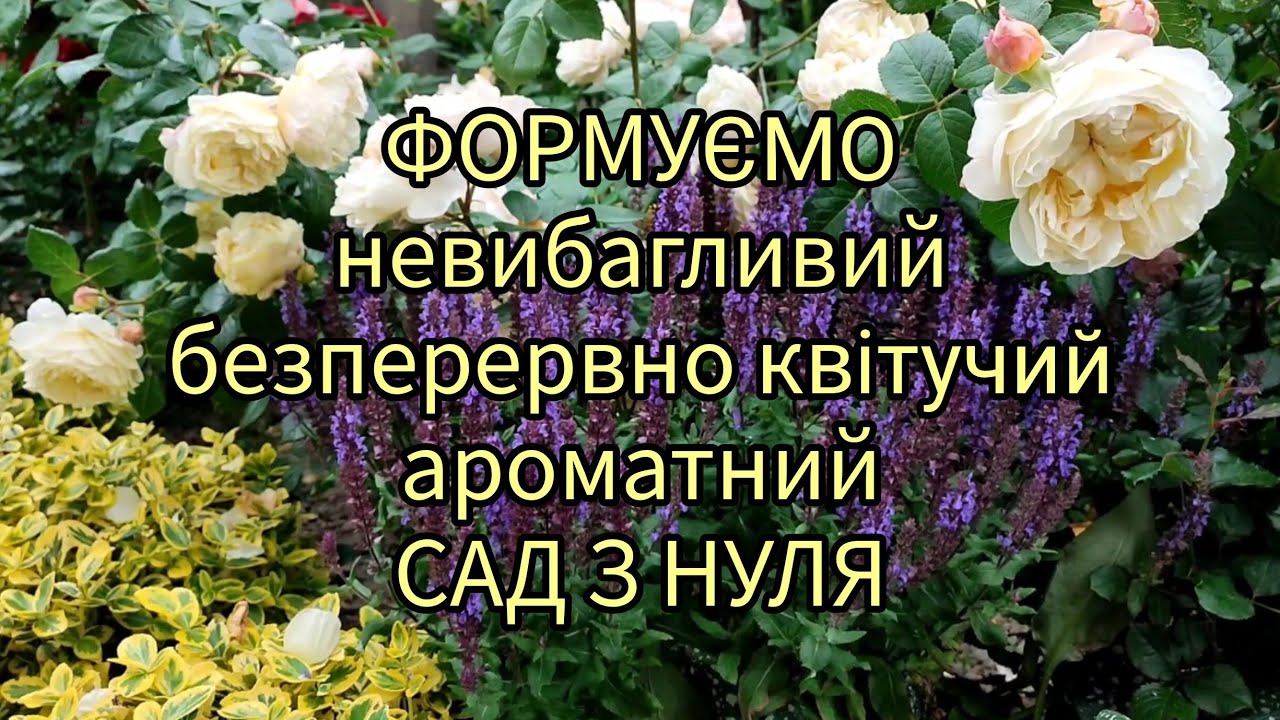 30 найкращих рослин з перевіреного саду в сад з нуля🍀🌸🌿