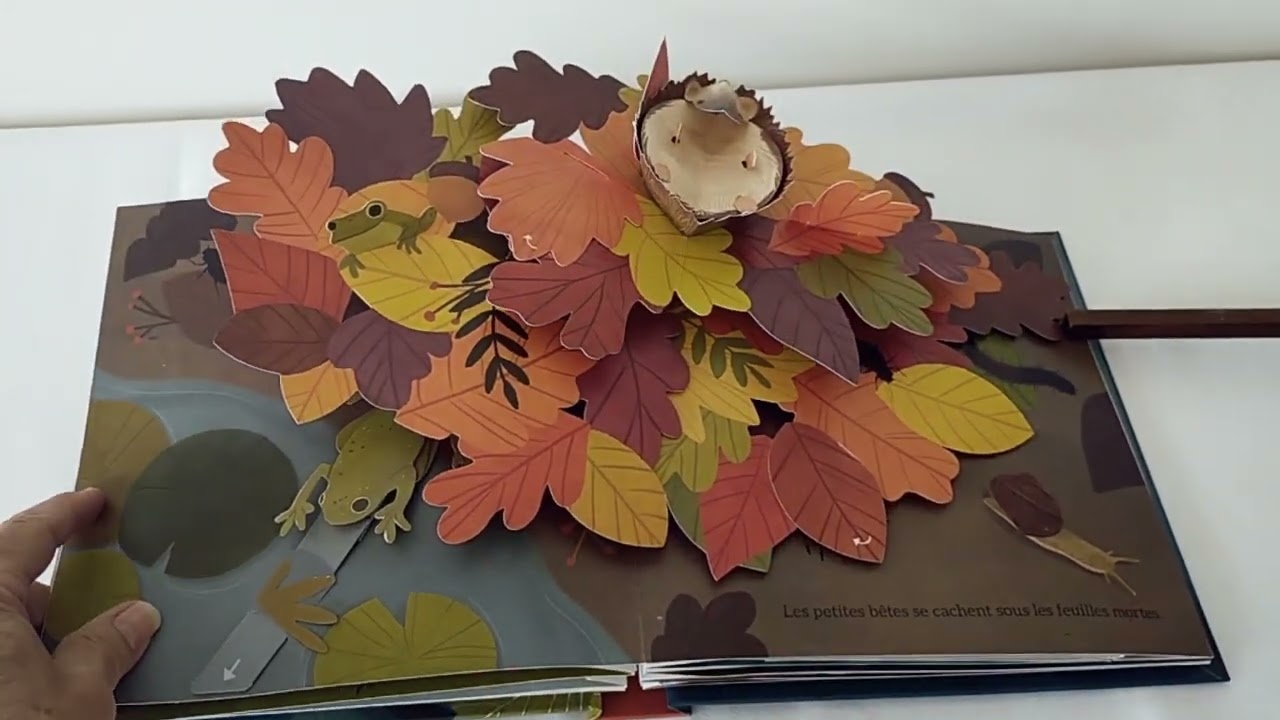 Couleur de l'automne  de Yoojin Kim  présenté par Pop-Up-Féerie