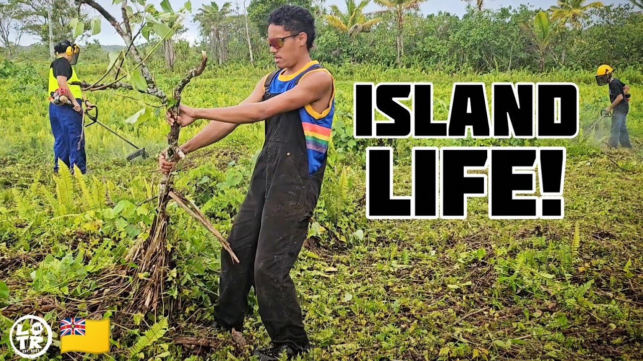 Taro Farming Life 101. All Hands On Deck. Niue Island.
