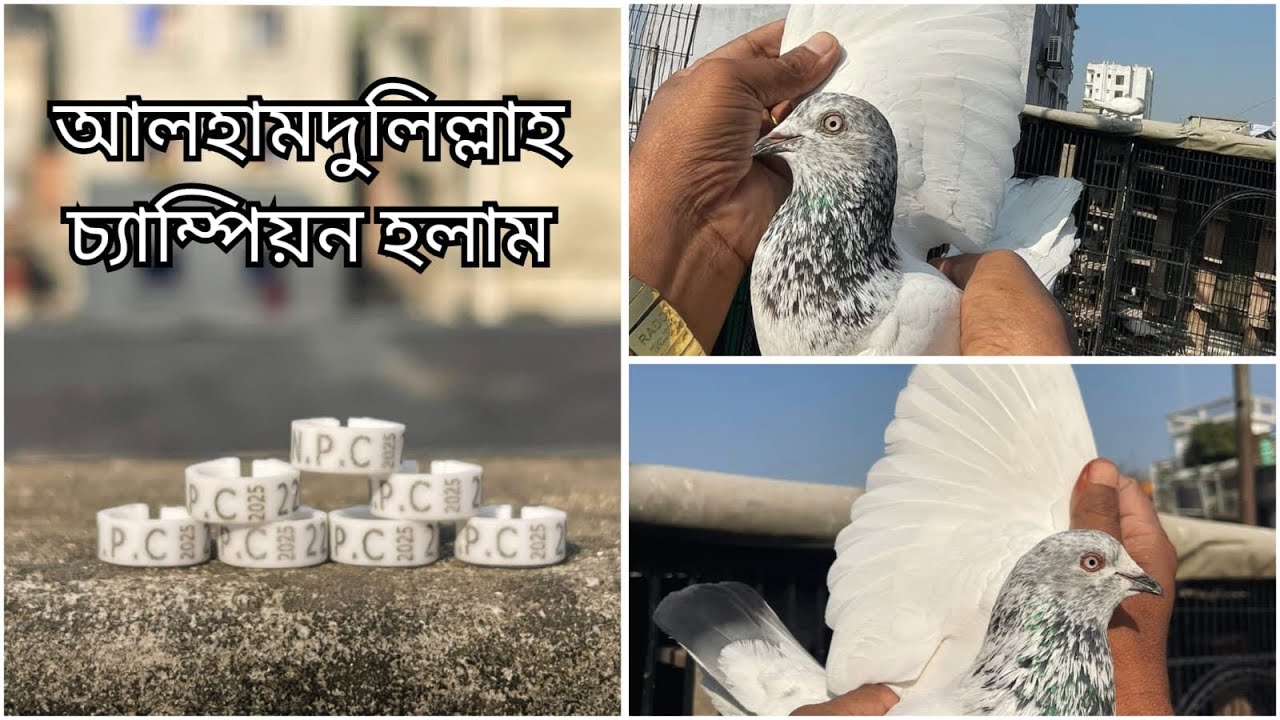 আলহামদুলিল্লাহ চ্যাম্পিয়ন 🥰🫶
