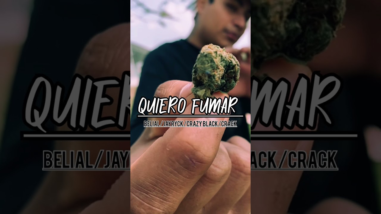 QUIERO FUMAR -BELIAL FT JAYRICK, CRACK & CRAZY BLACK. (VIDEOLIRIK) (MALDITOS BENDECIDOS MUSIC)