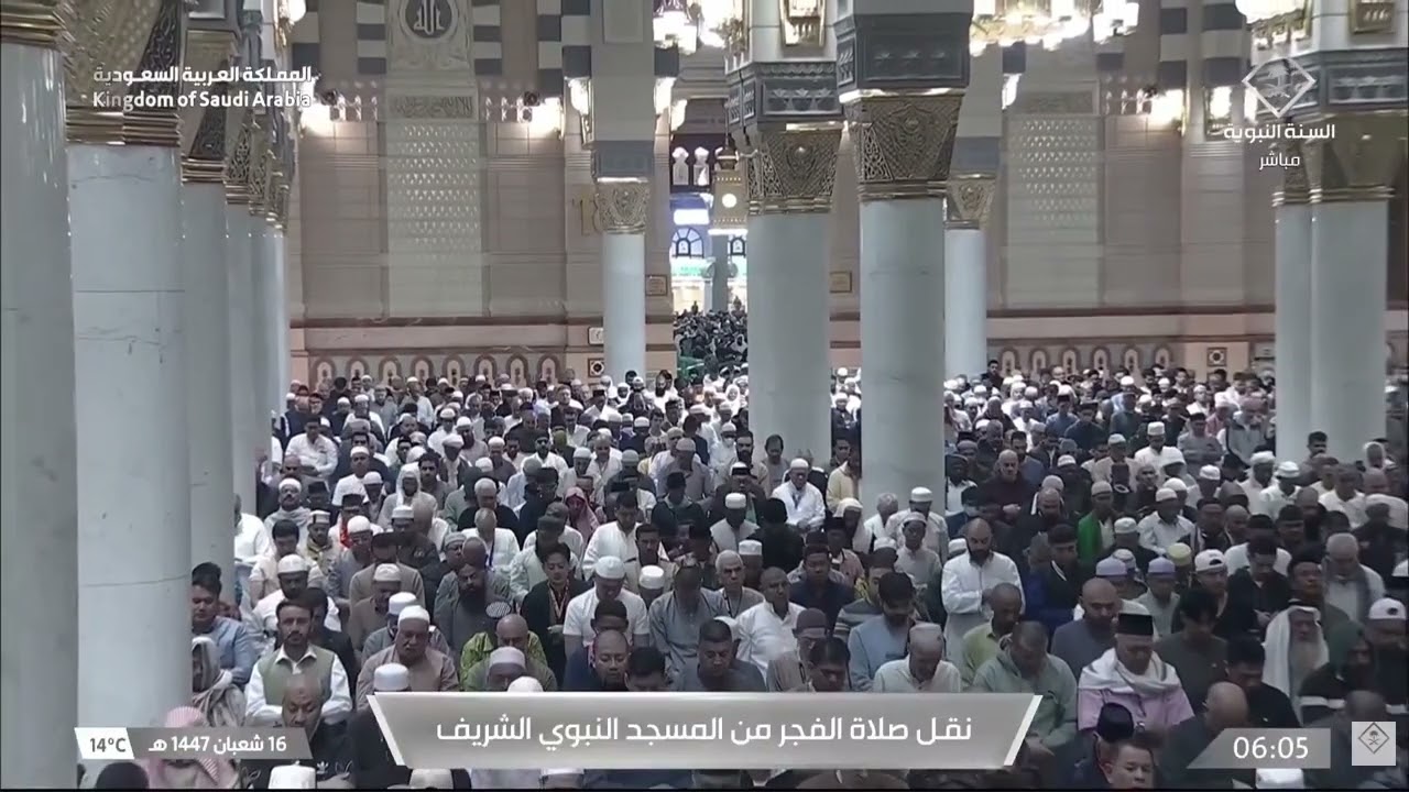 صلاة الفجر ١٦ شعبان ١٤٤٧هـ لفضيلة الشيخ د.#عبدالله_القرافي من #المسجد_النبوي 