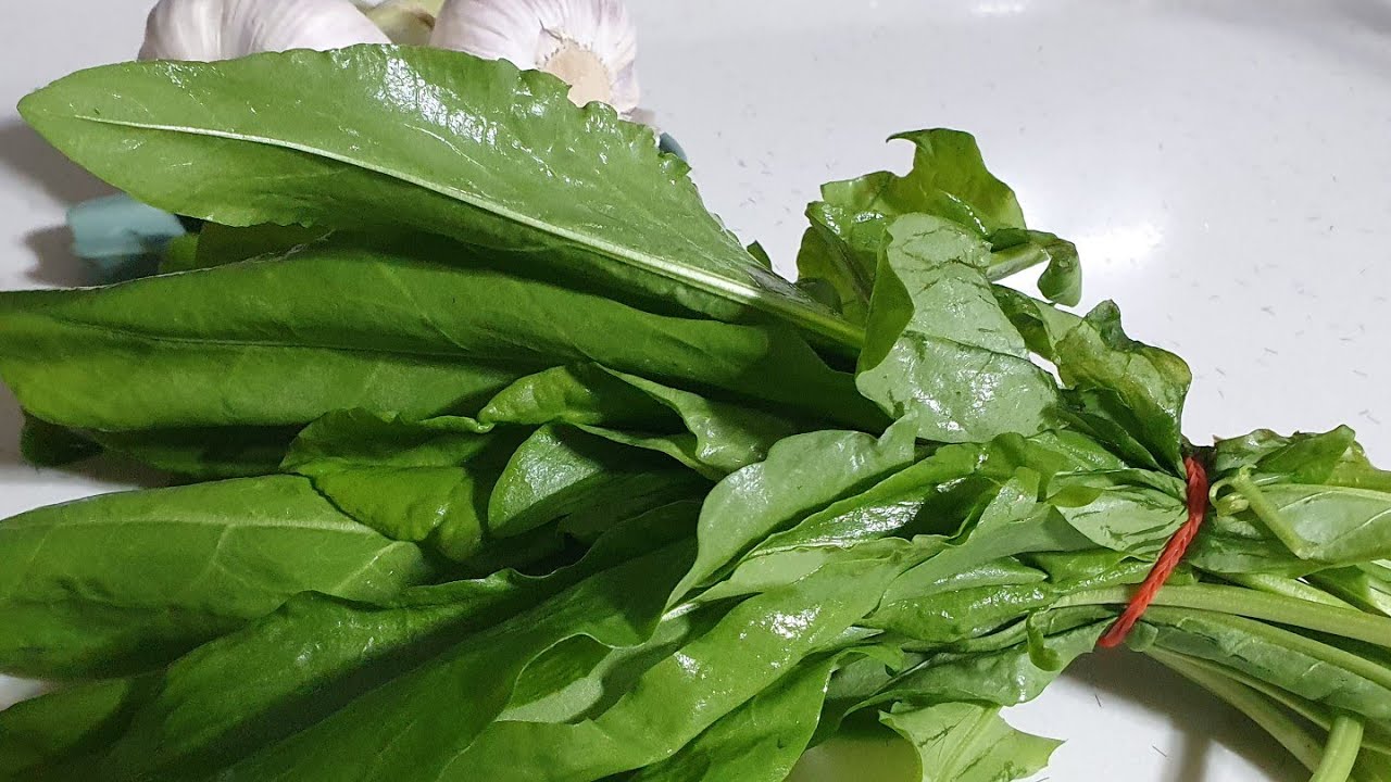 KUZUKULAĞI ÇORBASI / HİÇ YEMEDİĞİNİZ BİR EKŞİLİ ÇORBA TARİFİ / YAZ ÇORBASI