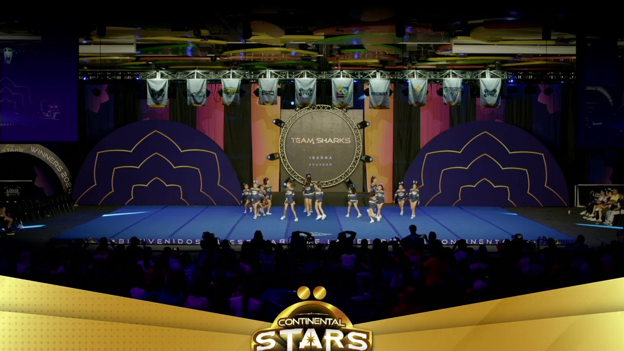 139. Sharks - Youth Prep 1.1 Youth Unica B | Continental Stars 2024